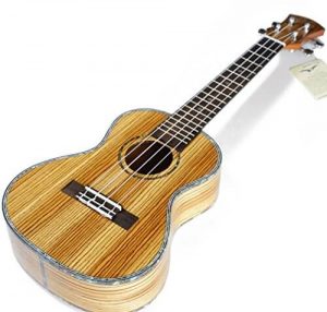 elives zebrawood ukulele