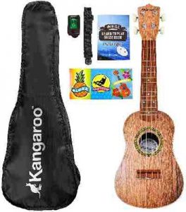ukulele case7 1
