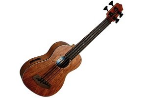 ukulele bass guitar